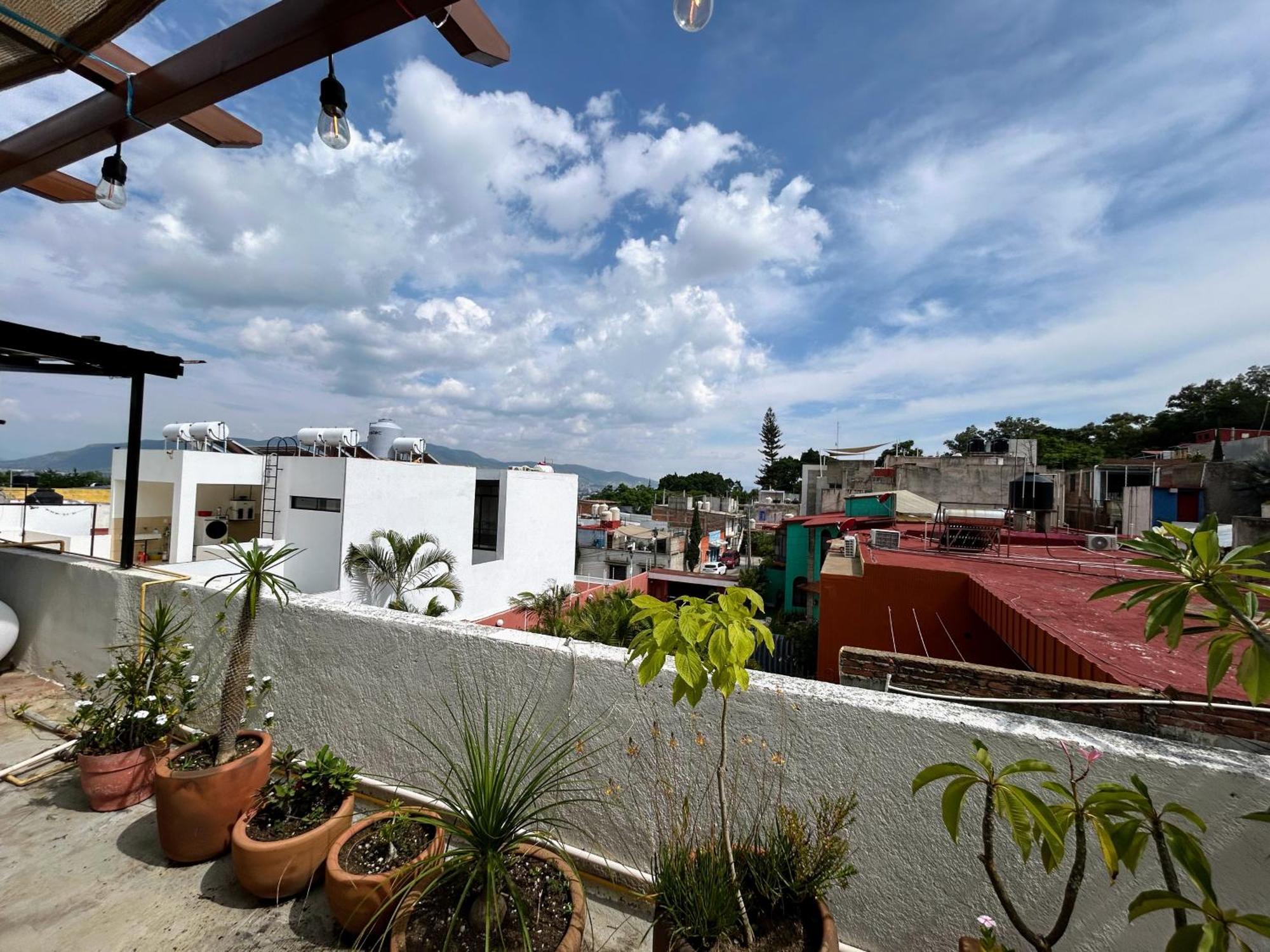 Hotel Luz Casa De Huespedes à Oaxaca Extérieur photo